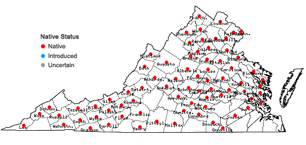 Locations ofCarex amphibola Steudel in Virginia