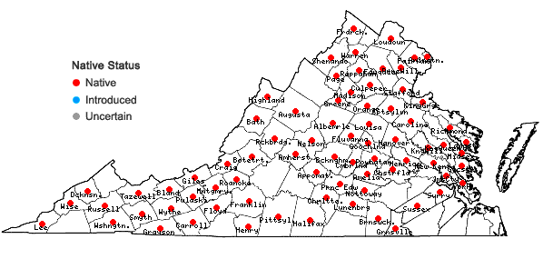 Locations ofCarex amphibola Steudel in Virginia