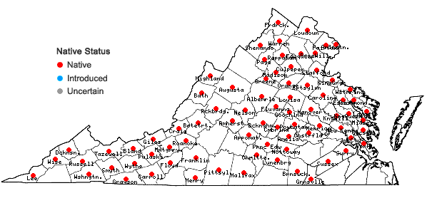 Locations ofCarex amphibola Steudel in Virginia
