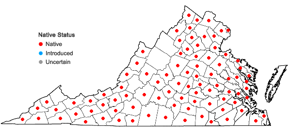 Locations ofCarex amphibola complex in Virginia