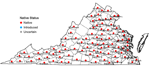 Locations ofCarex amphibola complex in Virginia