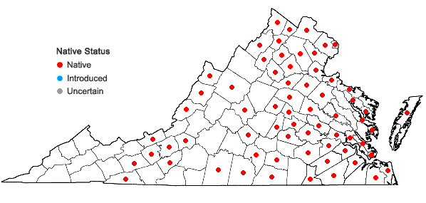 Locations ofCarex annectens (Bickn.) Bickn. in Virginia