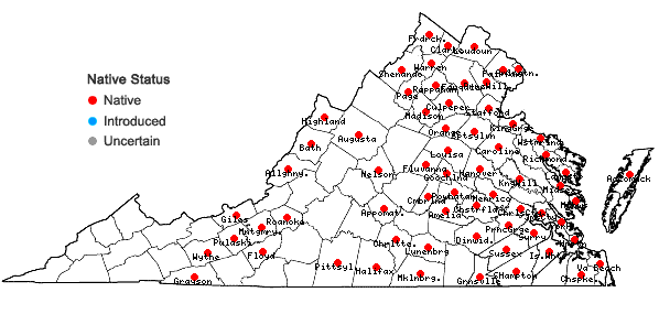 Locations ofCarex annectens (Bickn.) Bickn. in Virginia