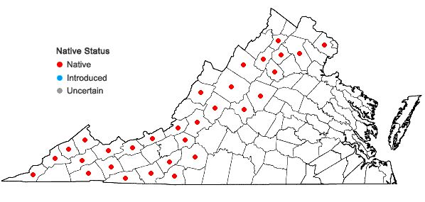 Locations ofCarex appalachica Webber & Ball in Virginia