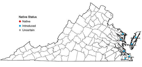 Locations ofCarex arenaria L. in Virginia