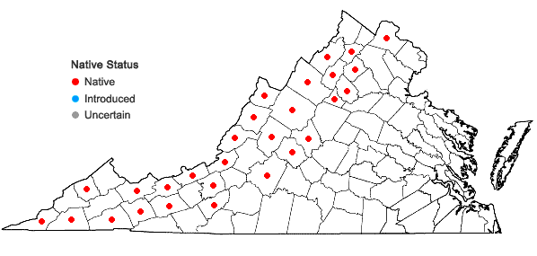 Locations ofCarex argyrantha Tuckerman ex Dewey in Virginia