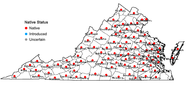 Locations ofCarex atlantica Bailey in Virginia