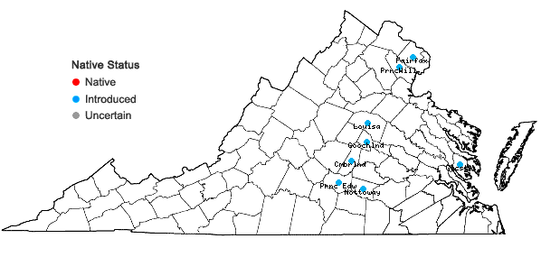 Locations ofCarex austrina Mackenzie in Virginia