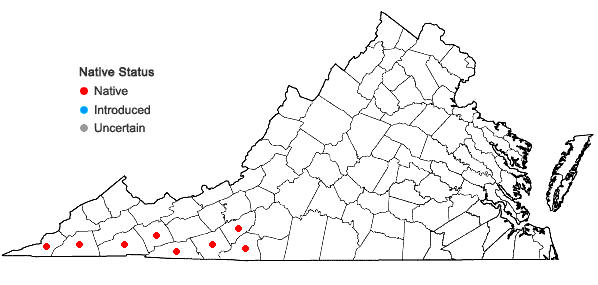 Locations ofCarex austrolucorum (Rettig) D.P. Poind. & Naczi in Virginia