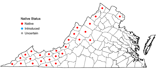 Locations ofCarex baileyi Britton in Virginia