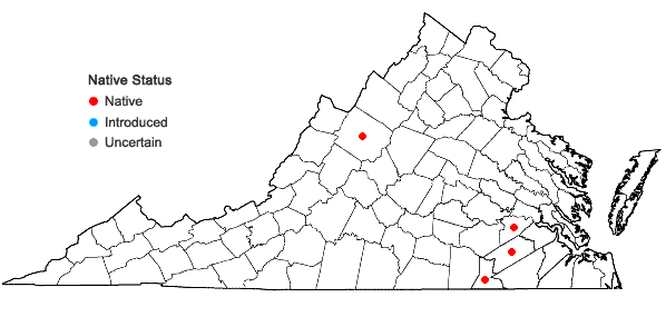 Locations ofCarex barrattii Schw. & Torr. in Virginia