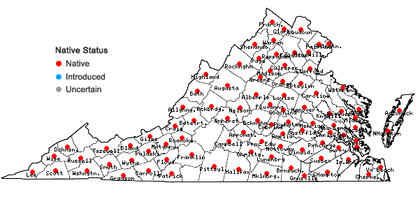 Locations ofCarex blanda Dewey in Virginia