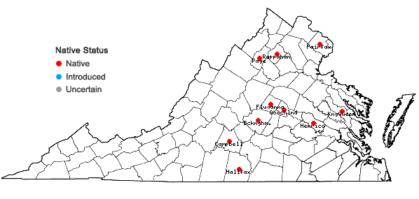 Locations ofCarex brevior (Dewey) Mackenzie ex Lunell in Virginia