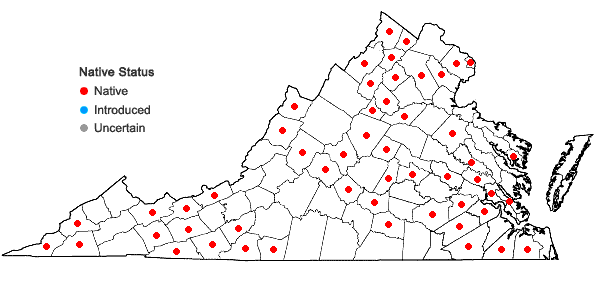 Locations ofCarex bromoides Schk. ex Willd. ssp. bromoides in Virginia