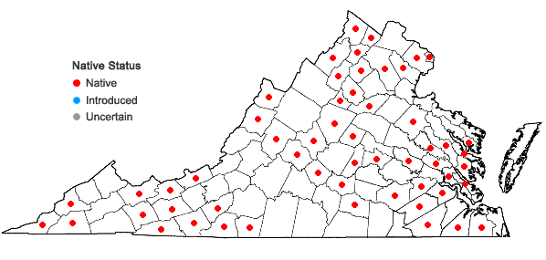 Locations ofCarex bromoides Schk. ex Willd. ssp. bromoides in Virginia