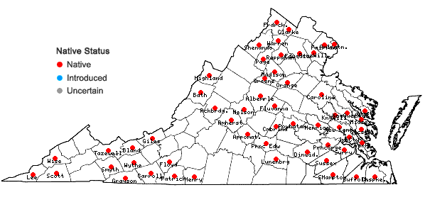 Locations ofCarex bromoides Schk. ex Willd. ssp. bromoides in Virginia