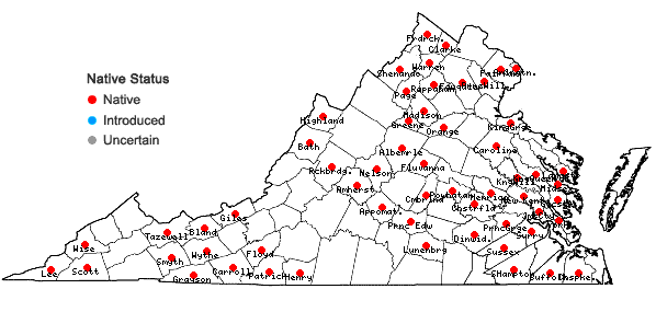 Locations ofCarex bromoides Schk. ex Willd. ssp. bromoides in Virginia