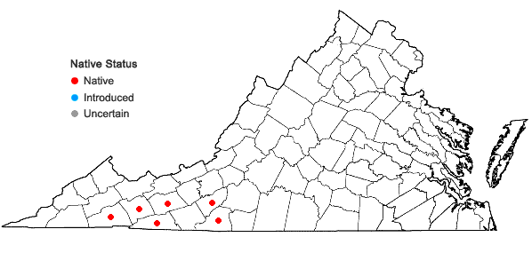 Locations ofCarex bromoides Schk. ex Willd. ssp. montana Naczi in Virginia