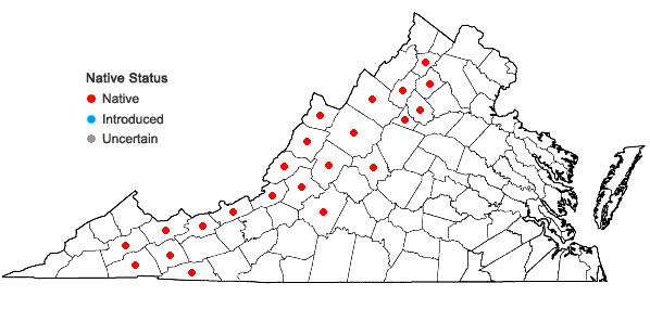 Locations ofCarex brunnescens (Pers.) Poiret var. sphaerostachya (Tuckerm.) Kukenth. in Virginia