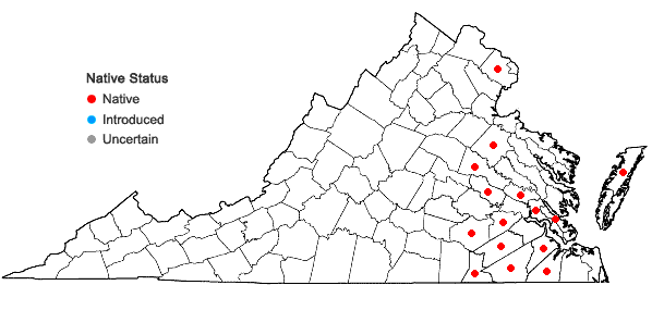 Locations ofCarex bullata Schk. ex Willd. var. greenei (Boeckeler) Fernald in Virginia