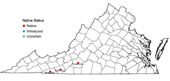 Locations ofCarex bullata Schk. ex Willd. var. bullata in Virginia