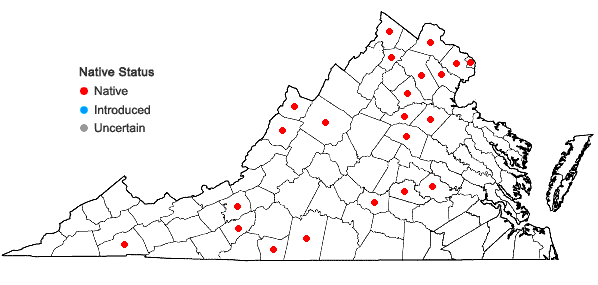 Locations ofCarex bushii Mackenzie in Virginia