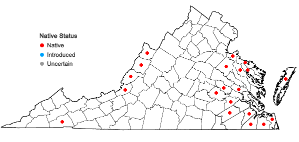 Locations ofCarex canescens L. var. disjuncta Fernald in Virginia