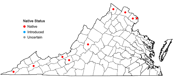 Locations ofCarex careyana Torrey ex Dewey in Virginia