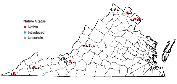 Locations ofCarex careyana Torrey ex Dewey in Virginia