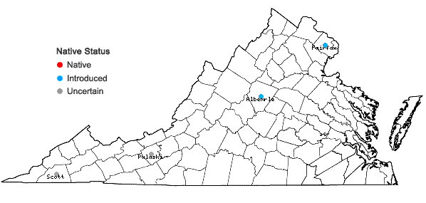 Locations ofCarex cherokeensis Schweinitz in Virginia