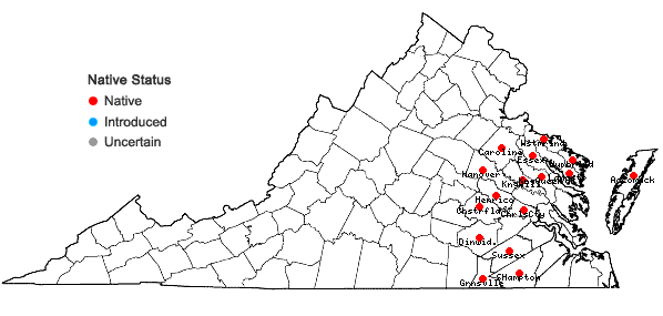 Locations ofCarex collinsii Nuttall in Virginia