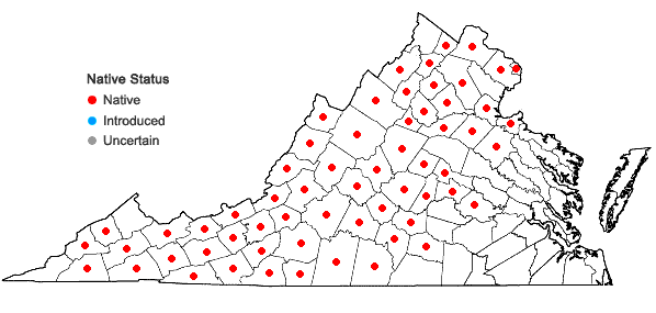 Locations ofCarex communis Bailey in Virginia
