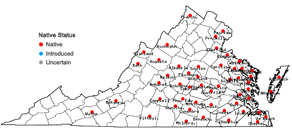 Locations ofCarex comosa Boott in Virginia