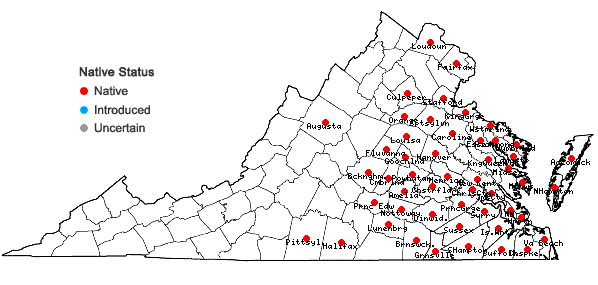 Locations ofCarex complanata Torr. & Hook. in Virginia