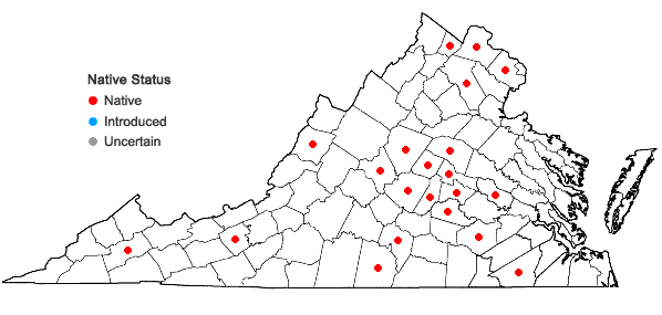 Locations ofCarex conjuncta Boott in Virginia