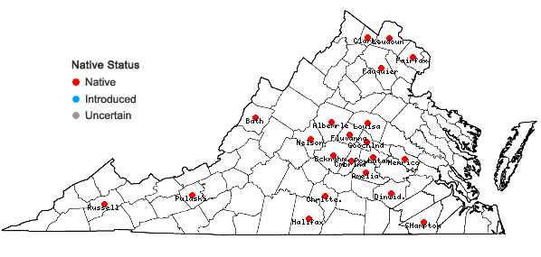 Locations ofCarex conjuncta Boott in Virginia