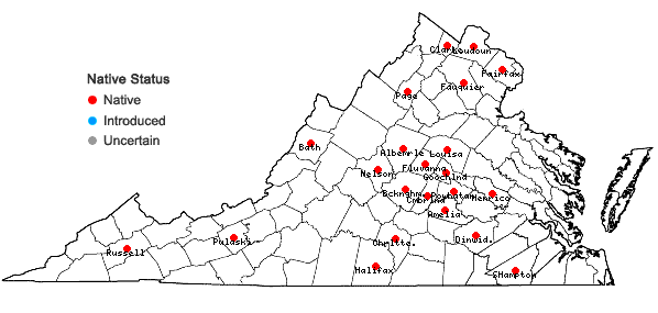 Locations ofCarex conjuncta Boott in Virginia