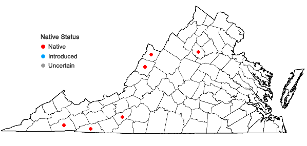 Locations ofCarex conoidea Willd. in Virginia