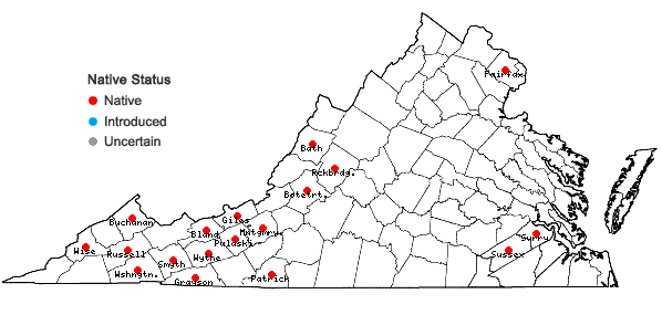 Locations ofCarex copulata (L.H. Bailey) Mackenzie in Virginia