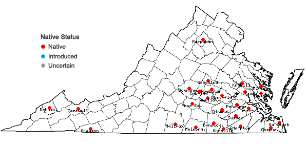 Locations ofCarex corrugata Fernald in Virginia