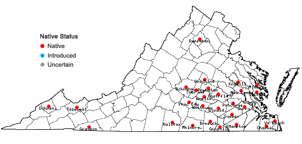 Locations ofCarex corrugata Fernald in Virginia