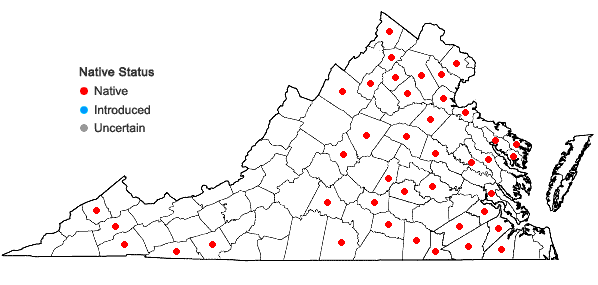 Locations ofCarex crebriflora Wiegand in Virginia