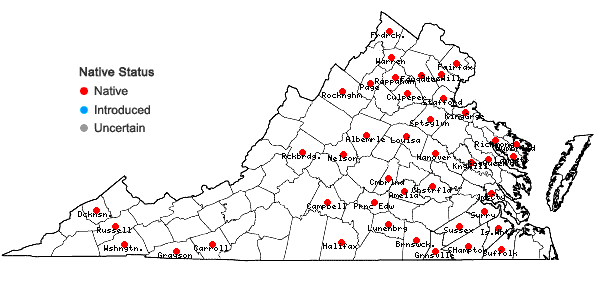 Locations ofCarex crebriflora Wiegand in Virginia