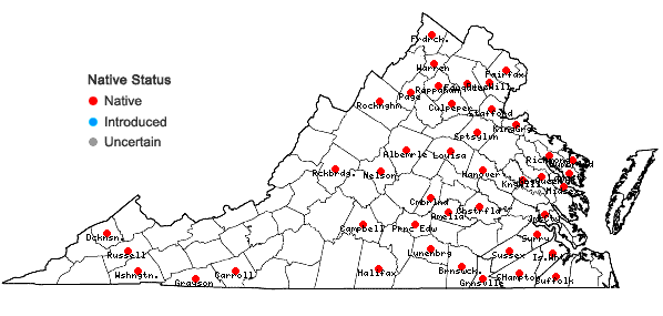 Locations ofCarex crebriflora Wiegand in Virginia