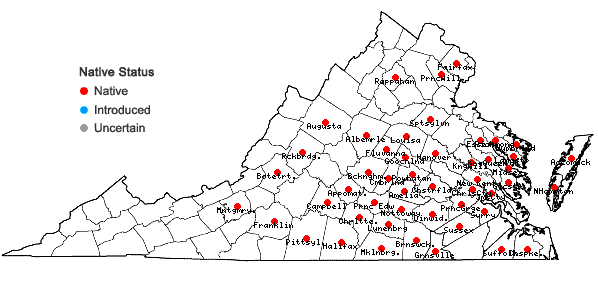 Locations ofCarex crinita Lam. var. brevicrinis Fernald in Virginia