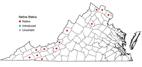 Locations ofCarex cristatella Britton in Virginia