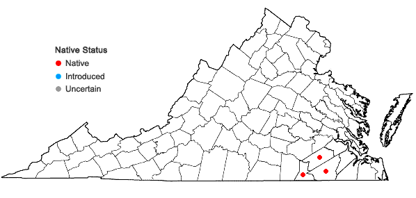 Locations ofCarex crus-corvi Shuttw. in Virginia