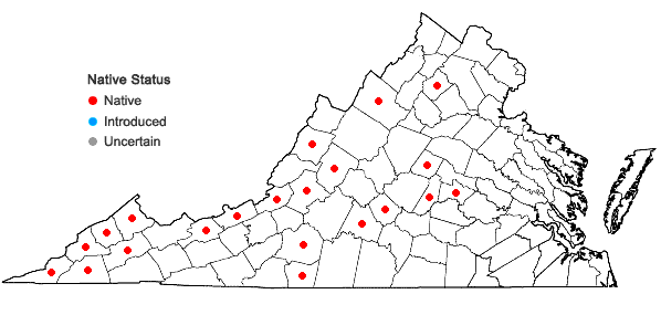 Locations ofCarex cumberlandensis Naczi, Kral, & Bryson in Virginia
