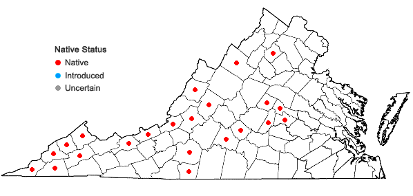 Locations ofCarex cumberlandensis Naczi, Kral, & Bryson in Virginia