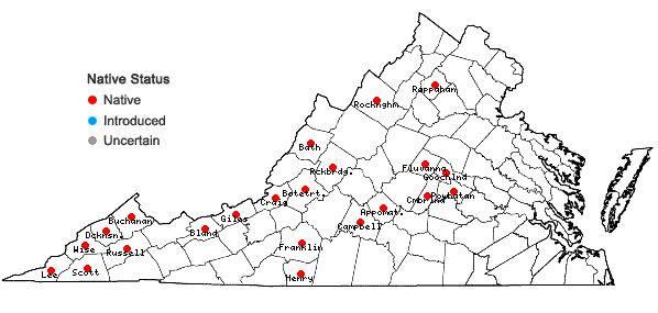 Locations ofCarex cumberlandensis Naczi, Kral, & Bryson in Virginia